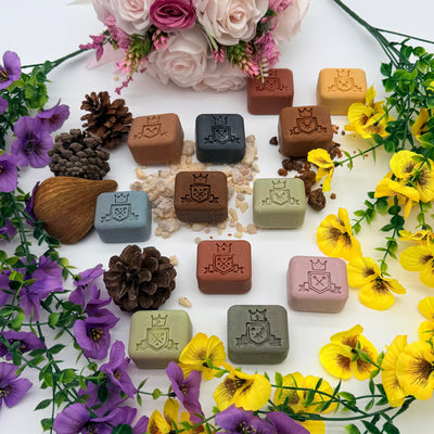 Complete Discovery Collection — Twelve Minis